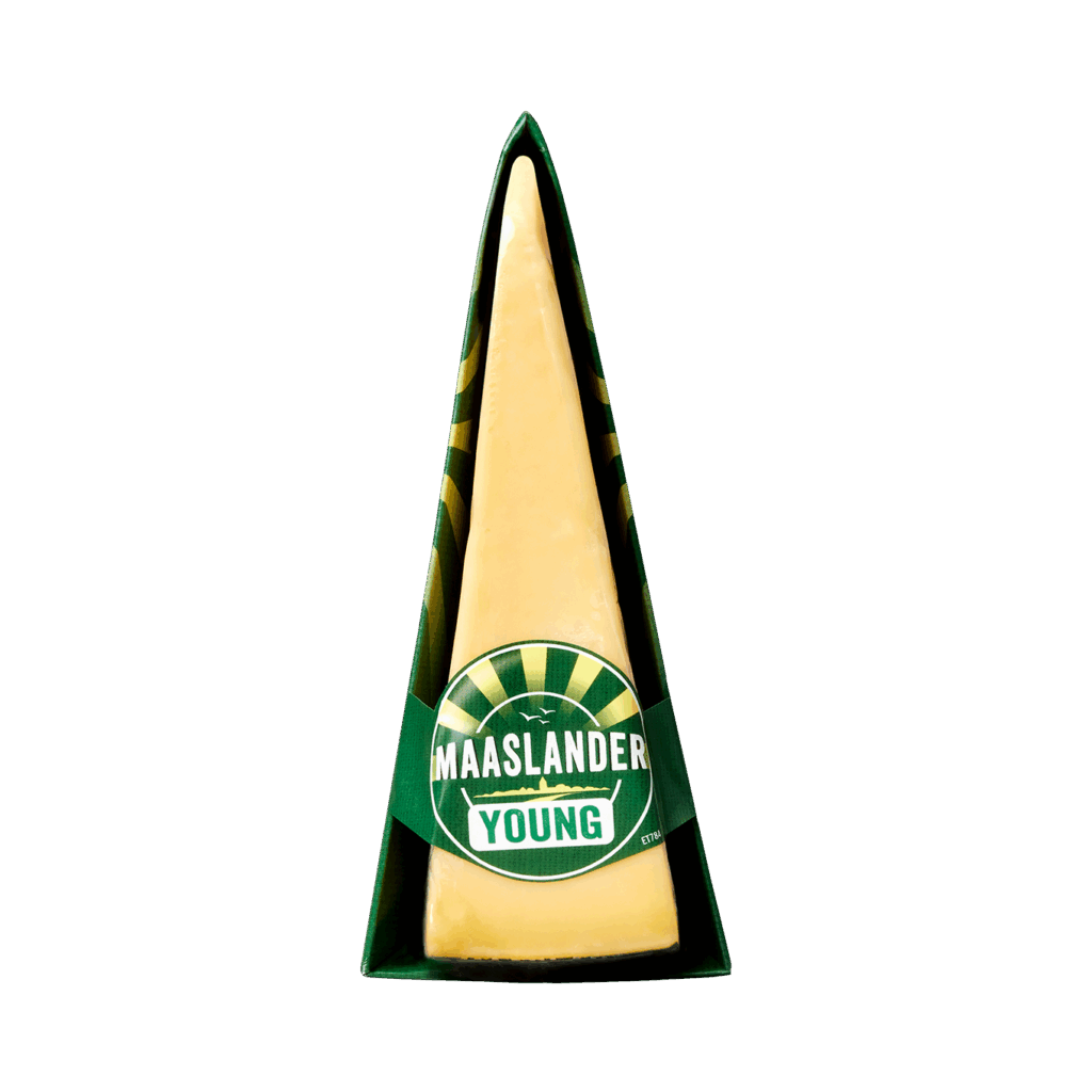 Maaslander Gouda Young